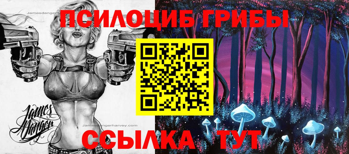 Галлюциногенные грибы Cubensis  Вход с VPN  Алушта 